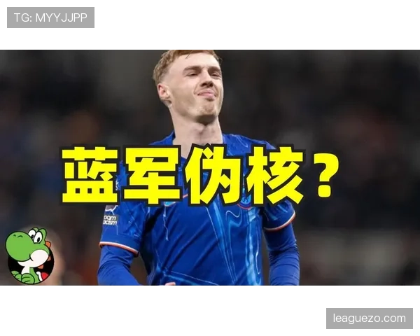 帕尔默核心技术与稳定性是否达到世界级